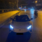 Matte Diamond Glitter Silver Car Vinyl Wrap product image 5 - Veloro matte vinyl wrap