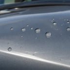 Close-up of Shark Blue gloss colored PPF surface texture | Veloro